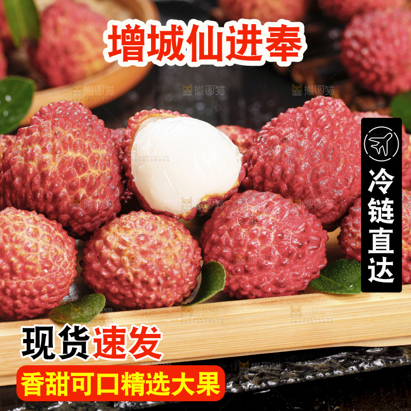 浅底上的仙进奉荔枝