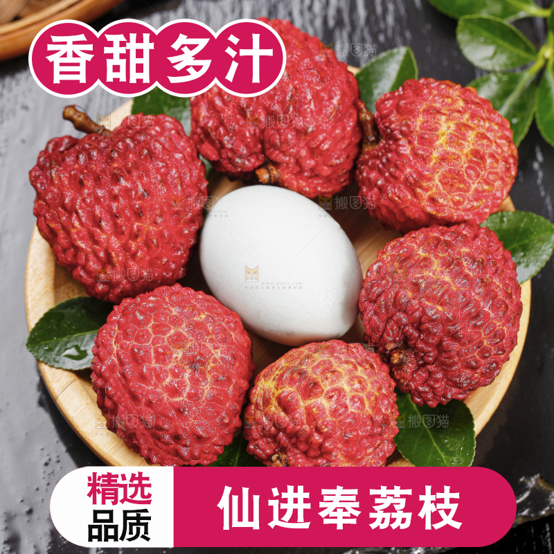 浅底上的仙进奉荔枝
