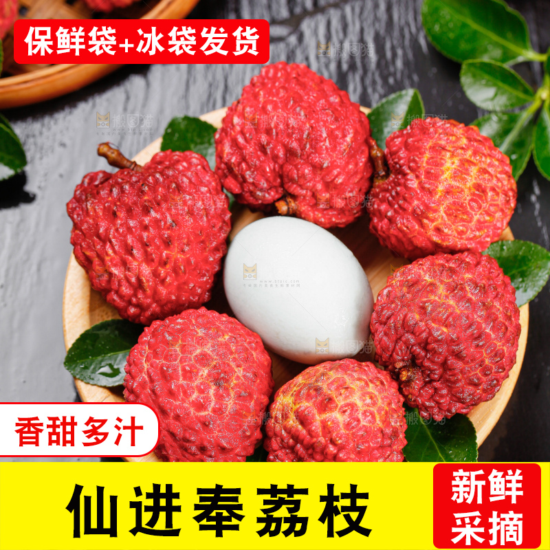 浅底上的仙进奉荔枝