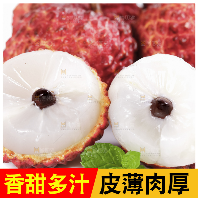 浅底上的仙进奉荔枝