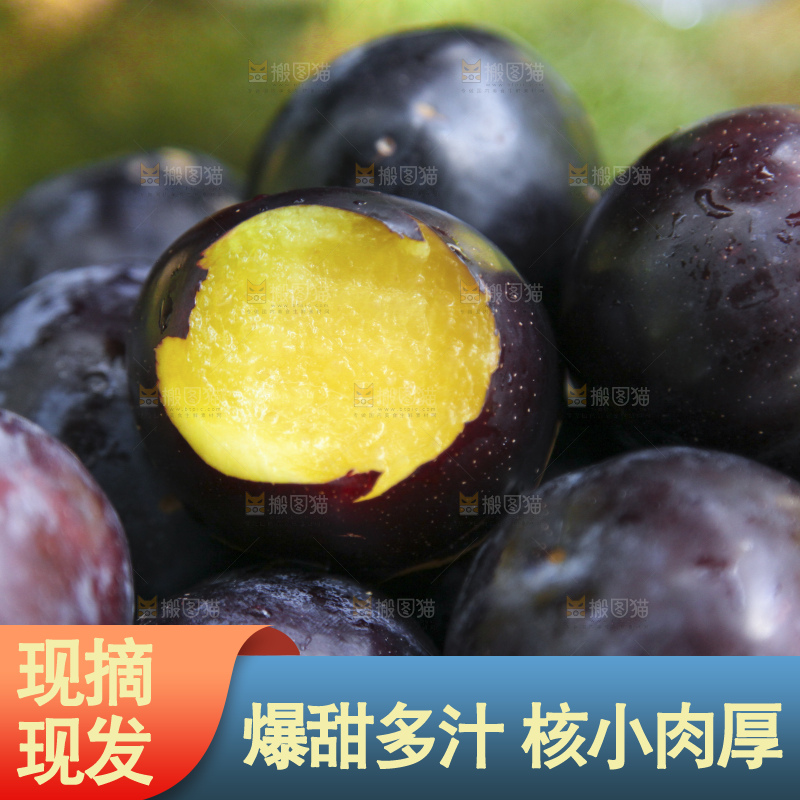 浅底上的黑布林