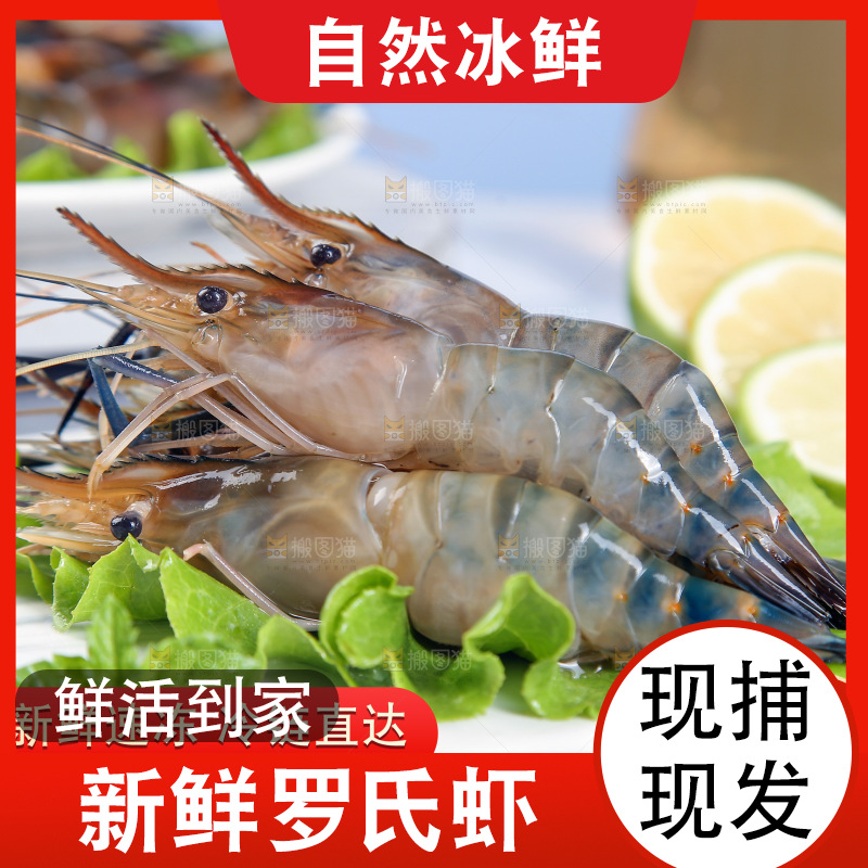 罗氏沼虾主图