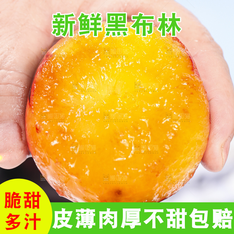 手里拿着新鲜黑布林