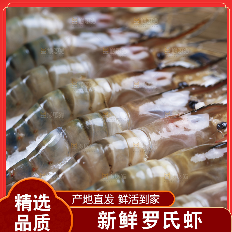 罗氏虾主图