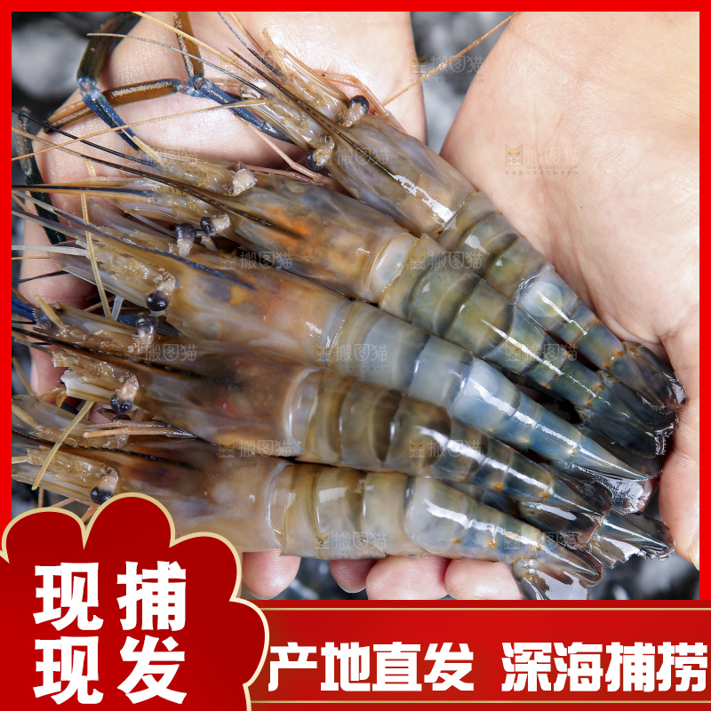 深底上的罗氏虾