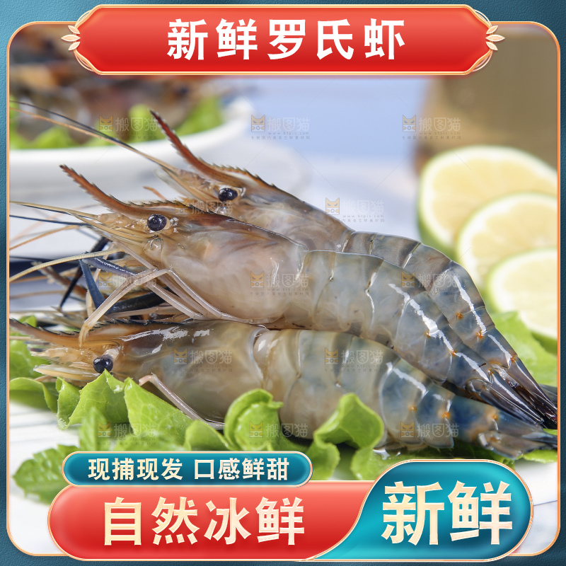 罗氏虾主图