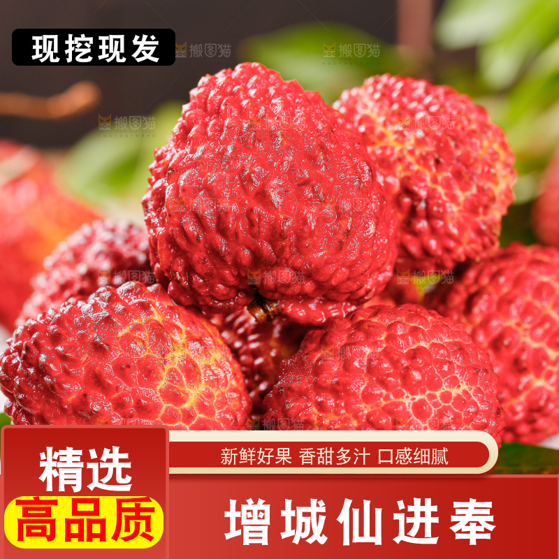 浅底上的仙进奉荔枝