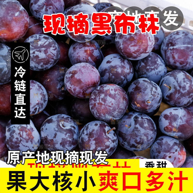 黑布林主图