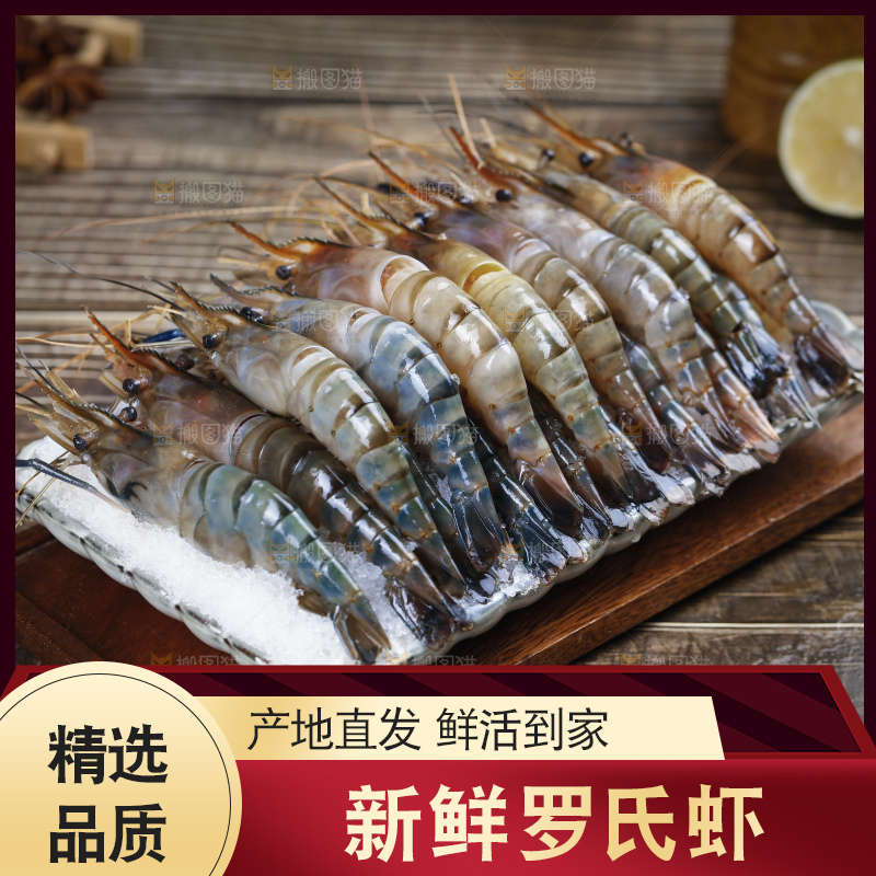 深底上的罗氏虾