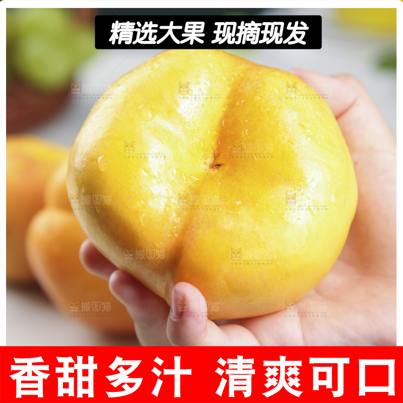 浅底上的黄金油蟠桃