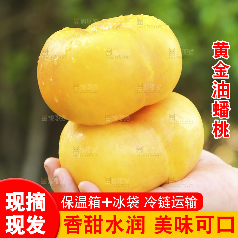 浅底上的黄金油蟠桃
