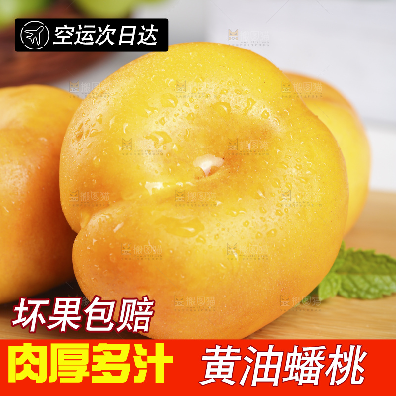浅底上的黄金油蟠桃