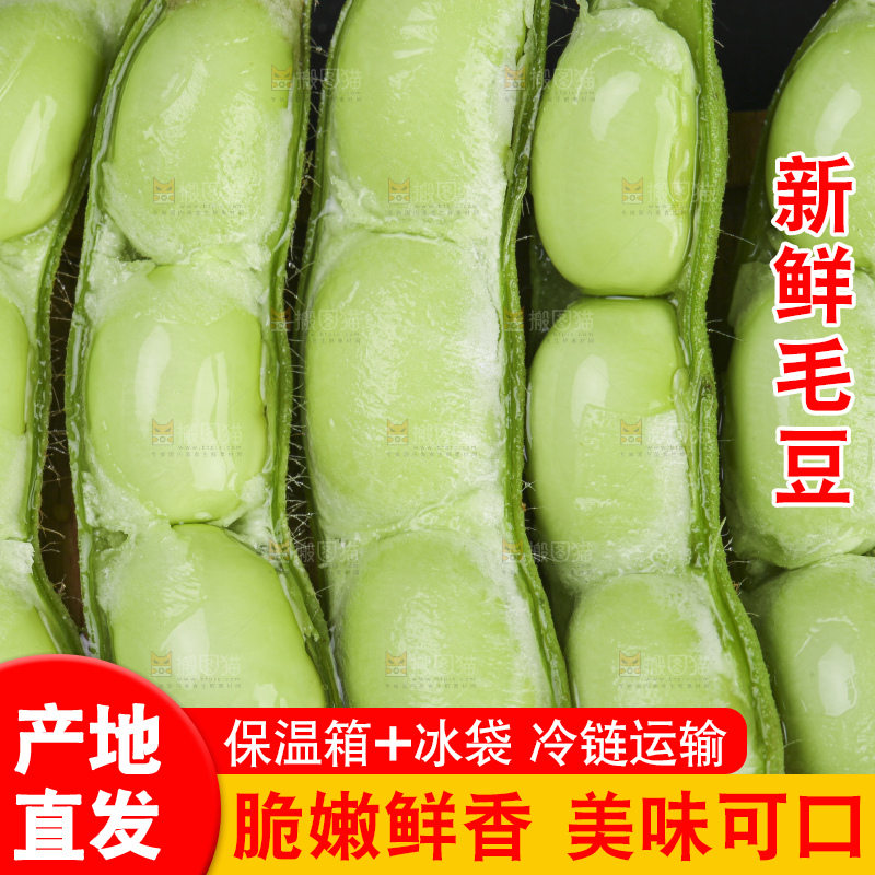 深底上的新鲜毛豆