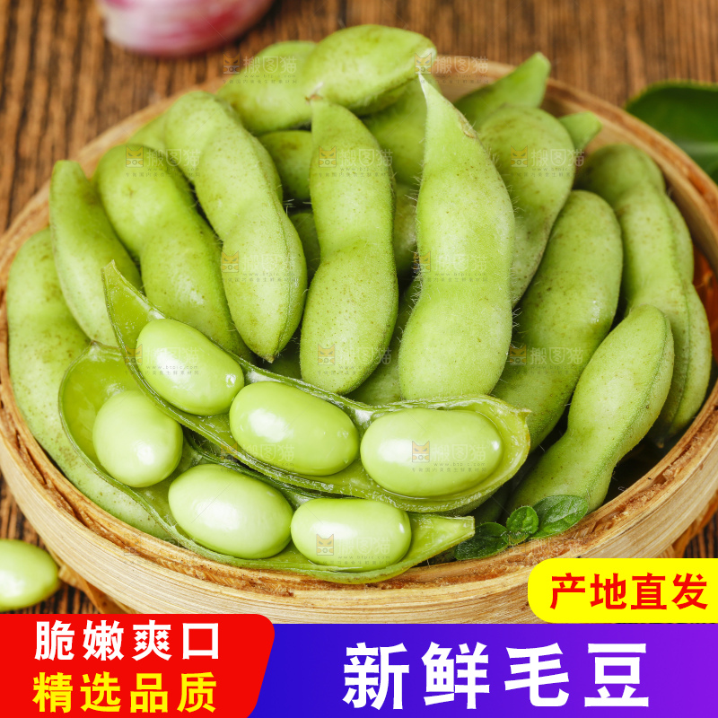 深底上的新鲜毛豆
