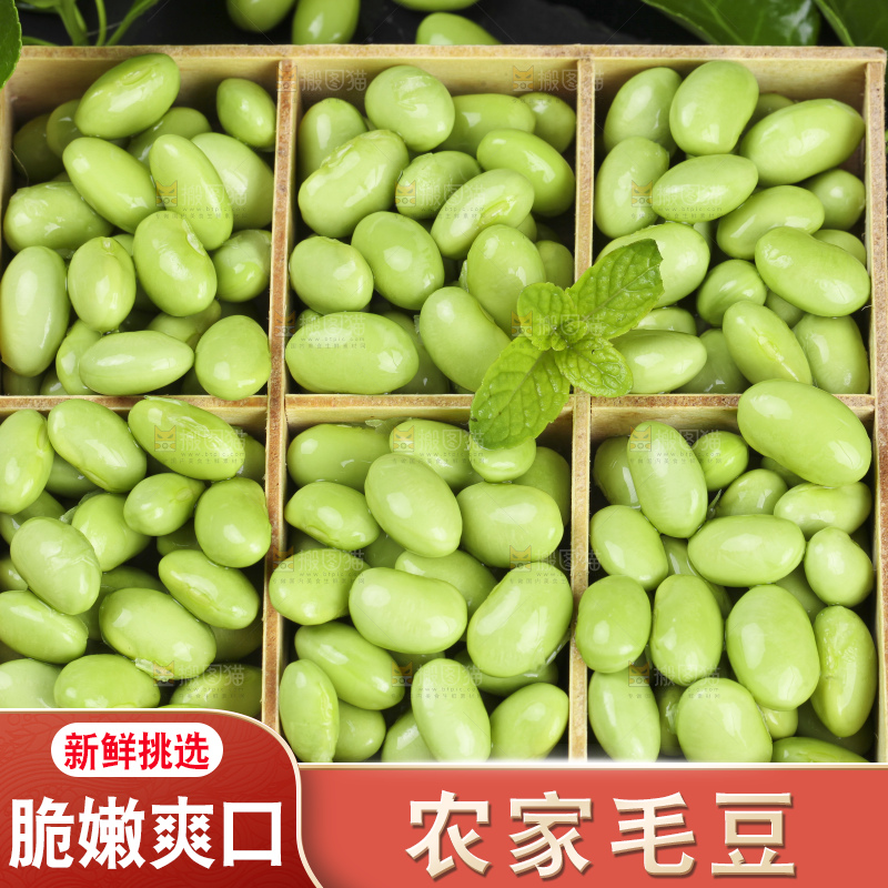 深底上的新鲜毛豆