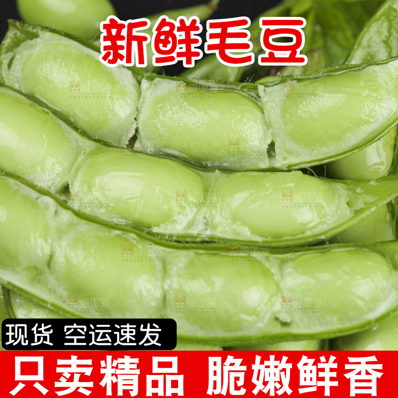深底上的新鲜毛豆
