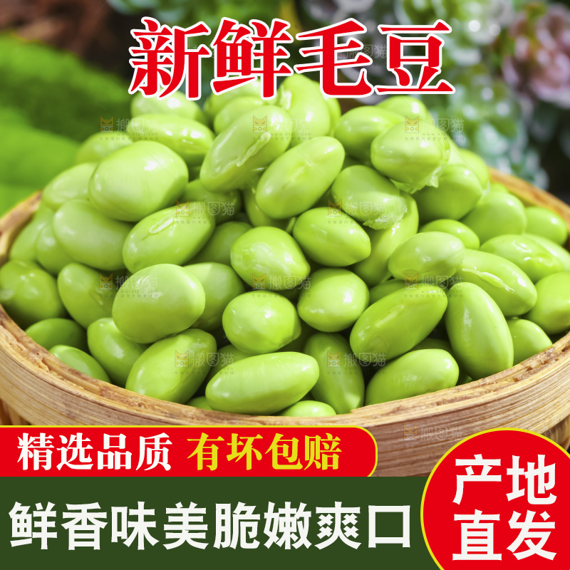 深底上的新鲜毛豆