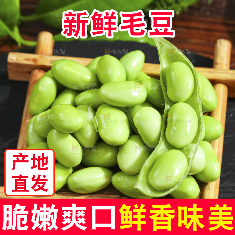 深底上的新鲜毛豆