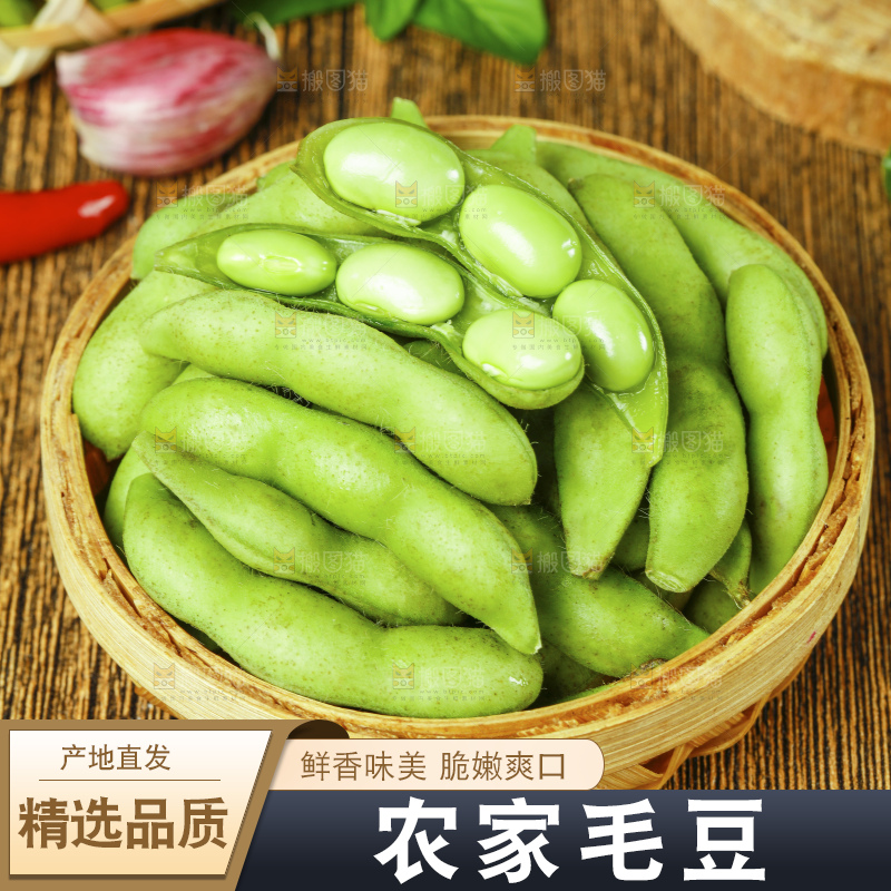 深底上的新鲜毛豆