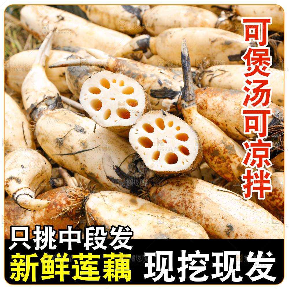 洪湖粉藕主图