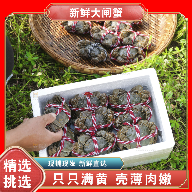 摆放整齐的大闸蟹