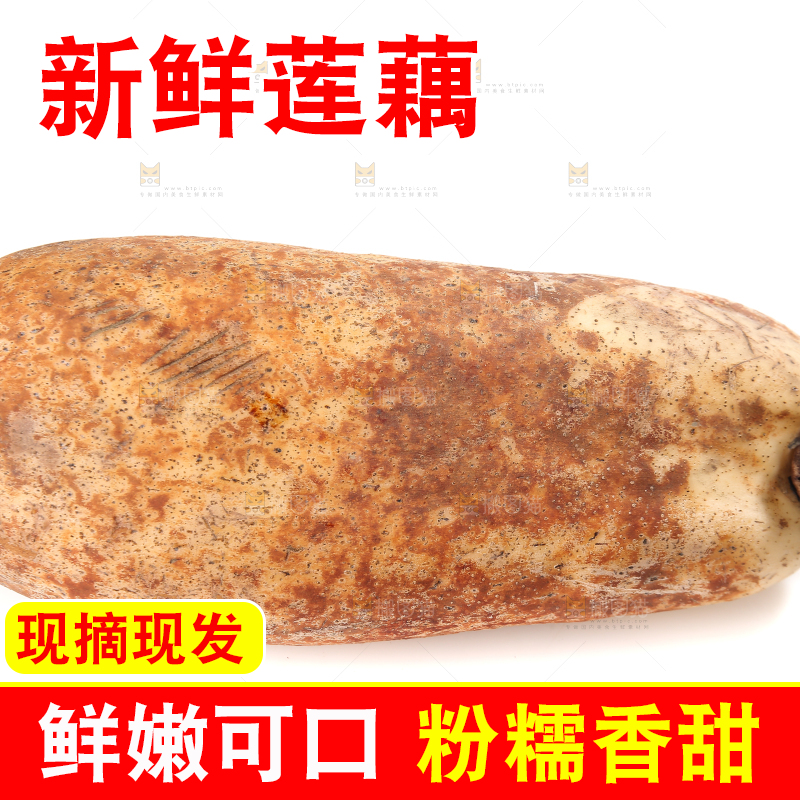 白底上的洪湖粉藕