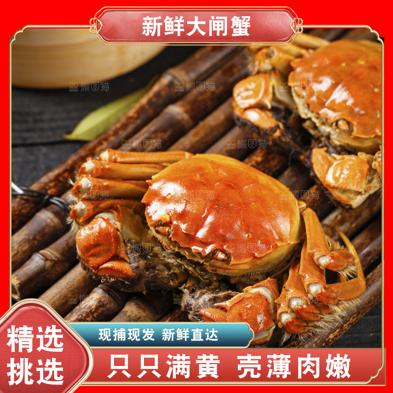 阳澄湖大闸蟹