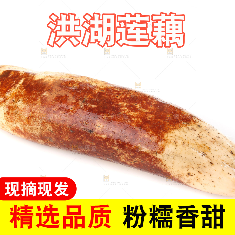 白底上的洪湖粉藕
