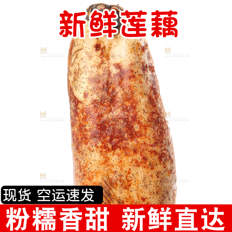 白底上的洪湖粉藕