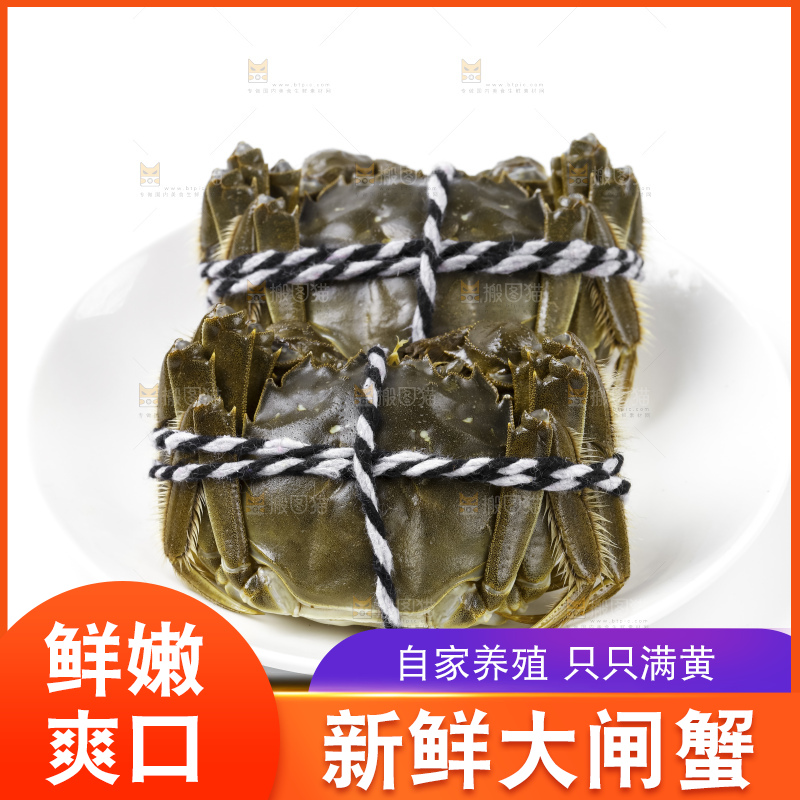阳澄湖大闸蟹