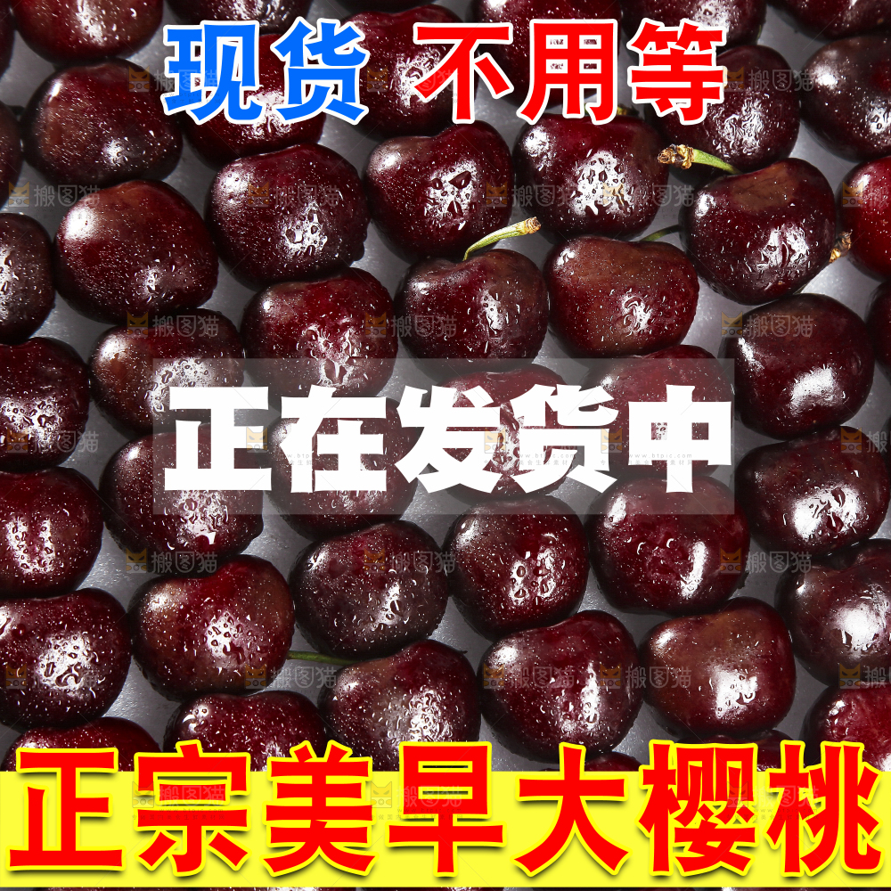 智利车厘子主图