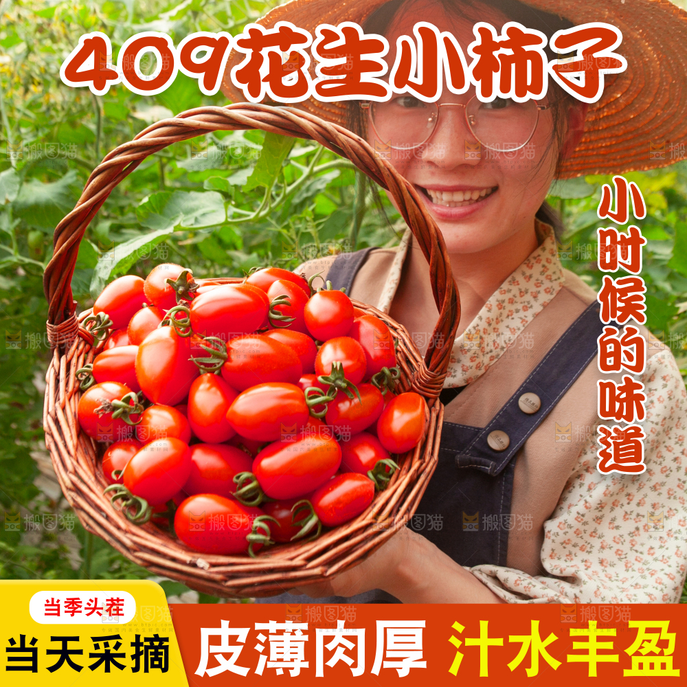 花生小柿子主图
