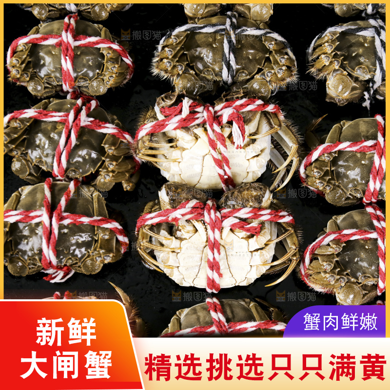 摆放整齐的大闸蟹