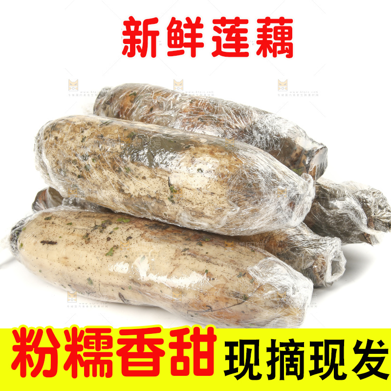 白底上的洪湖粉藕