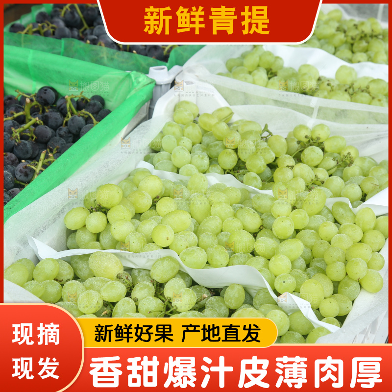 箱子里装着青提
