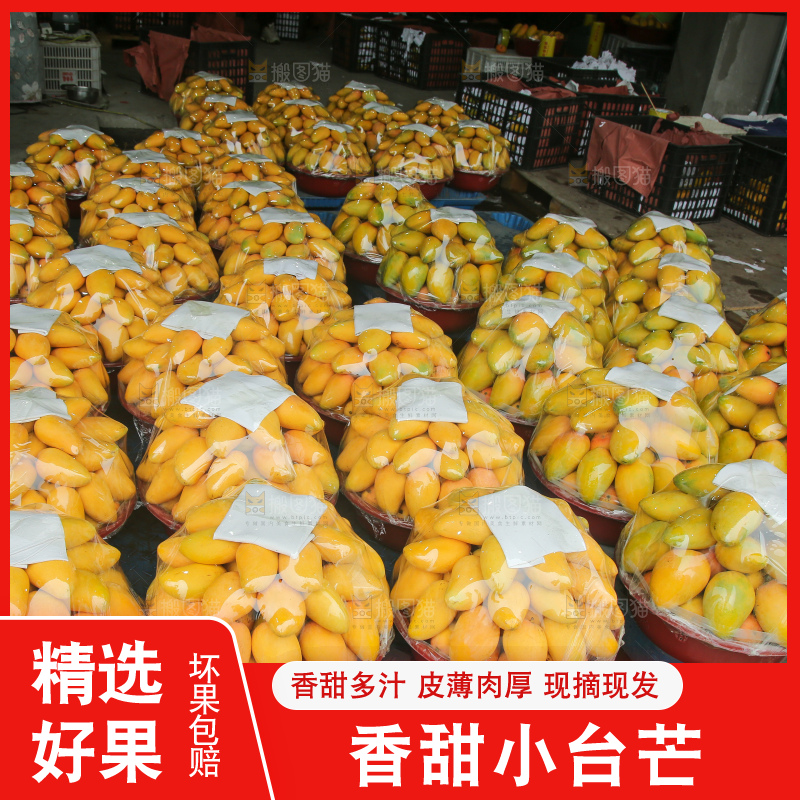 摆放整齐的小台芒