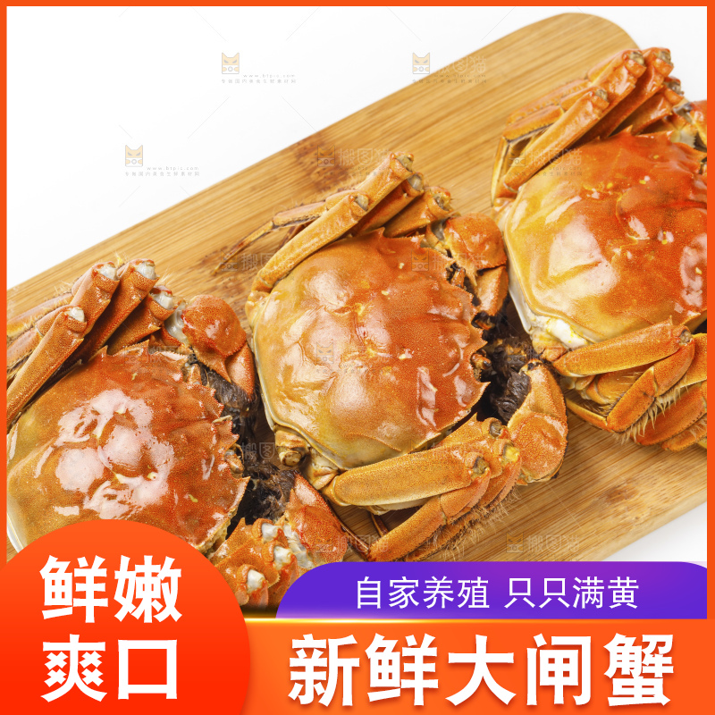 阳澄湖大闸蟹