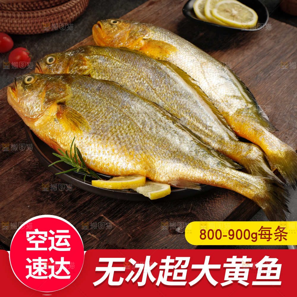 黄花鱼主图