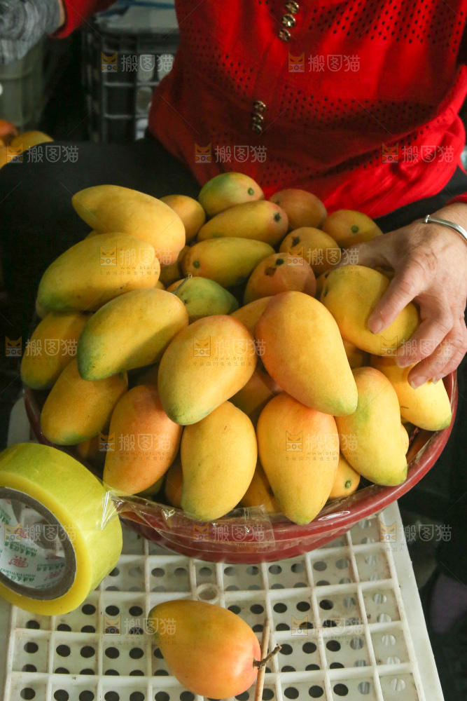 摆放整齐的小台芒