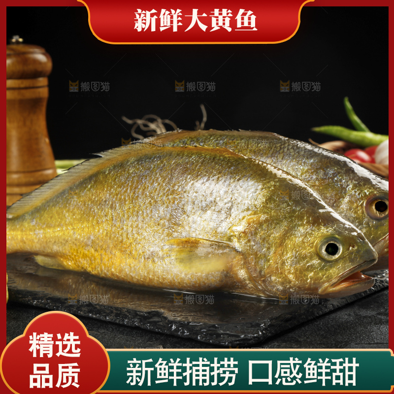 深底上的黄鱼