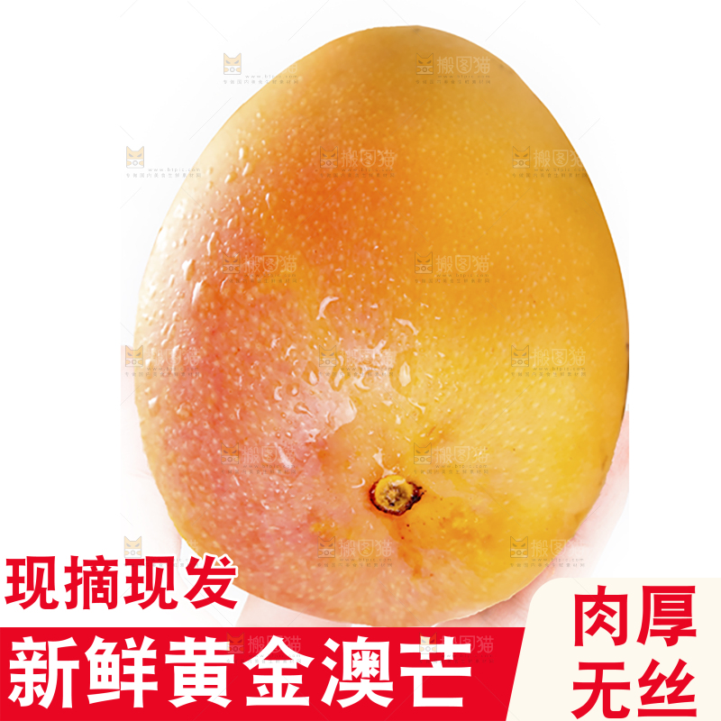 黄金澳芒主图