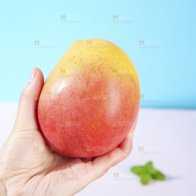 手上拿着黄金澳芒
