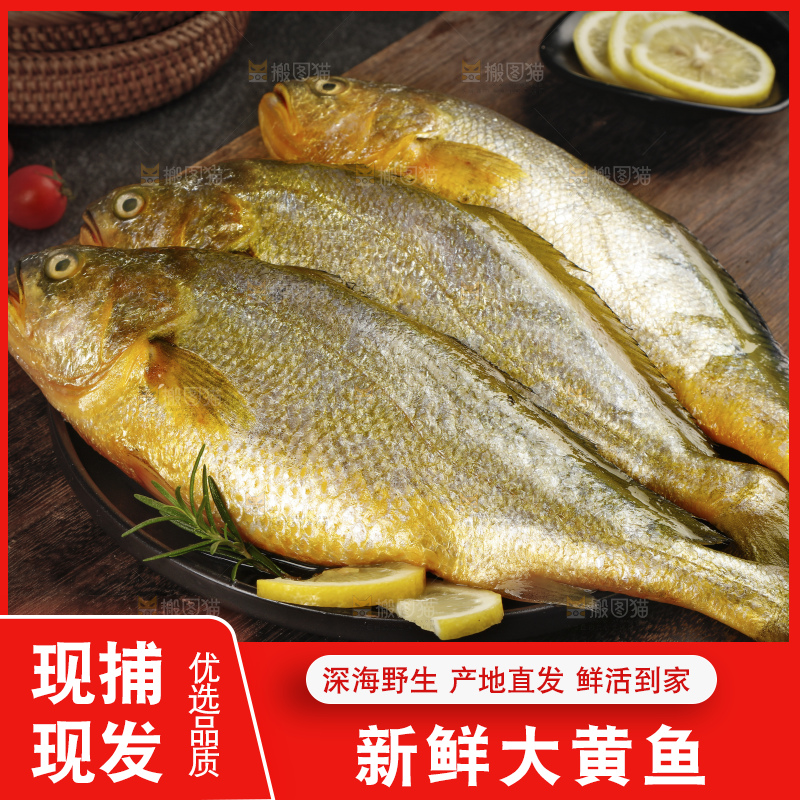 深底上的黄鱼