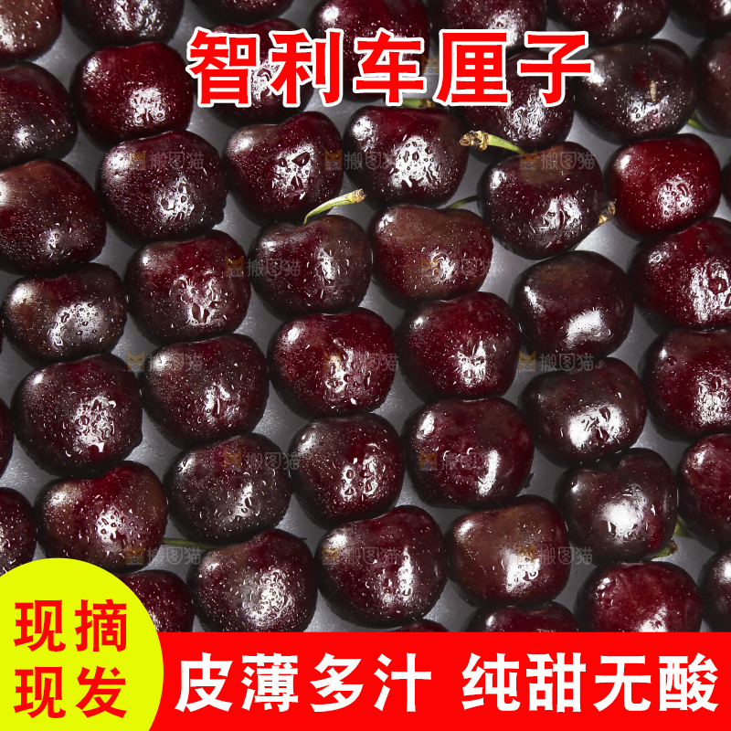 堆放着的智利车厘子