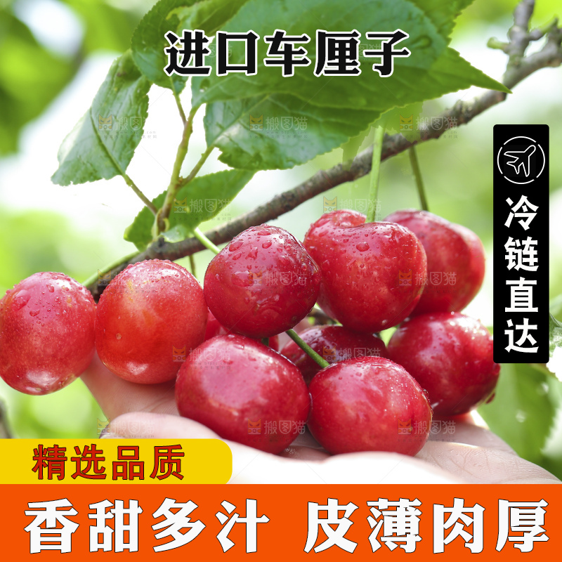 手里拿着车厘子