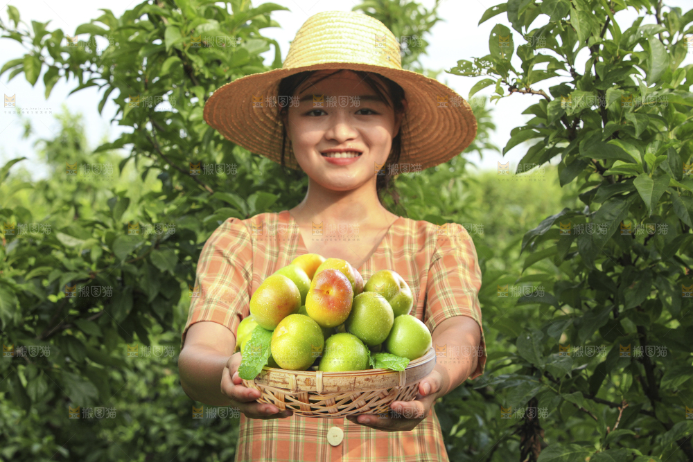 手里拿着半边红李子