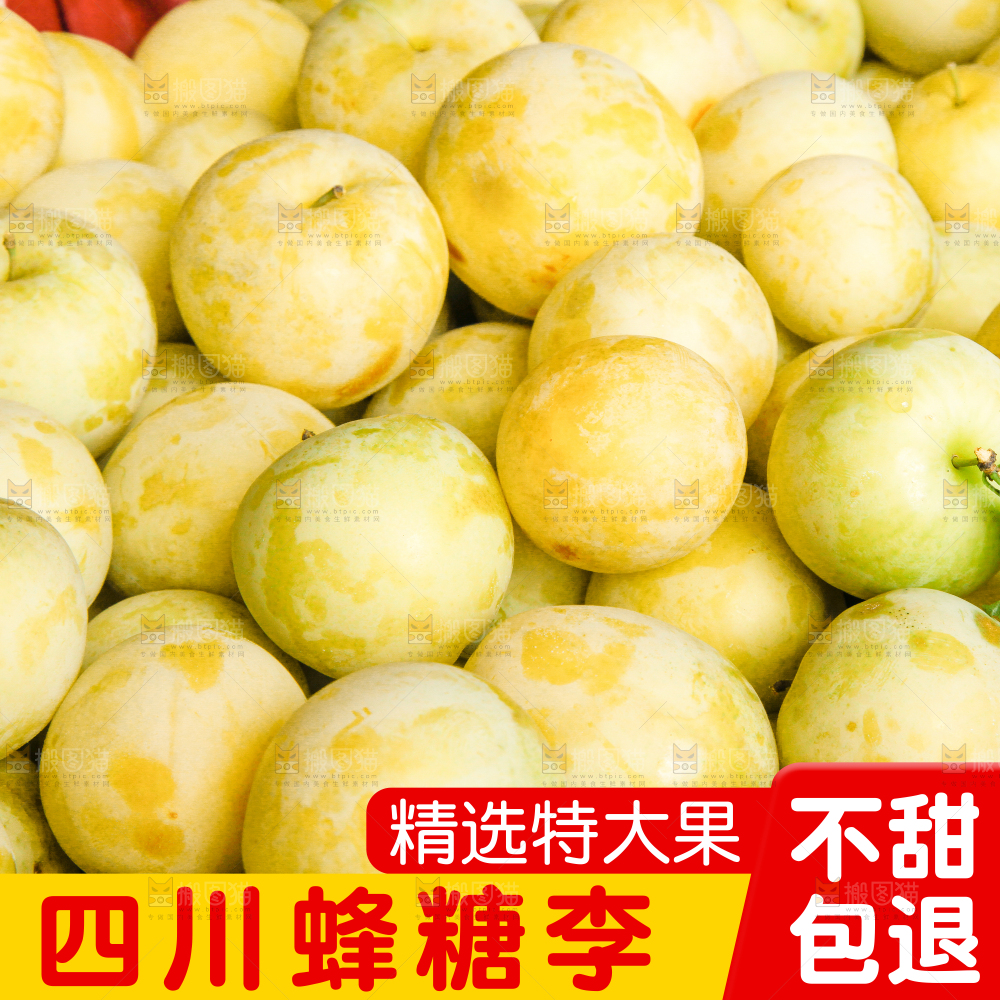 蜂糖李主图