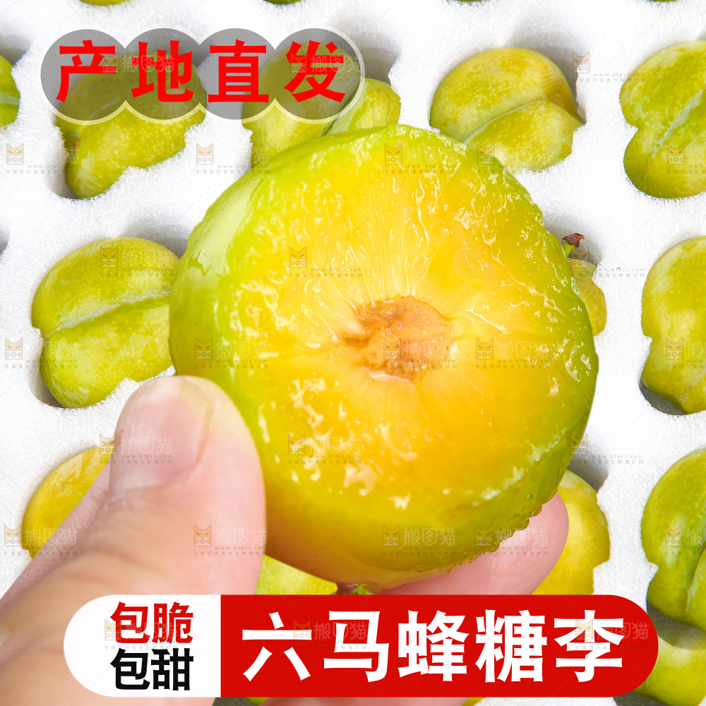 蜂糖李主图