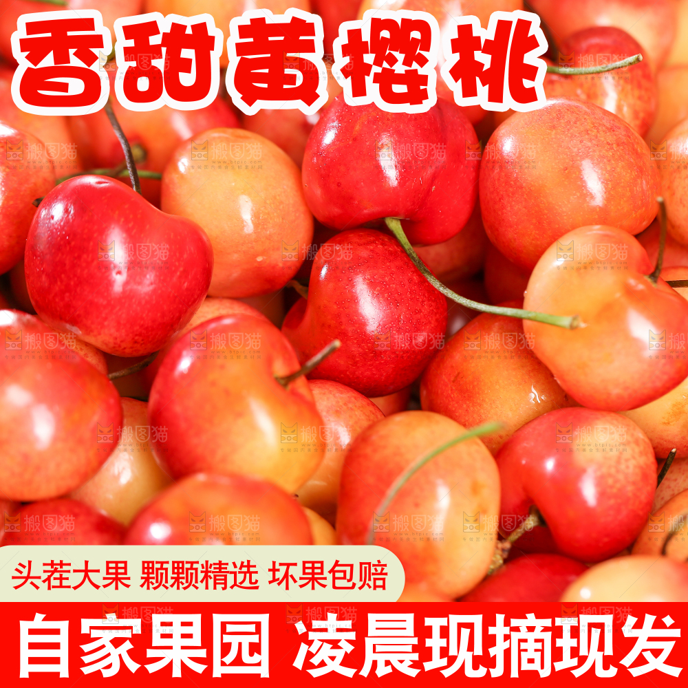 黄蜜樱桃主图