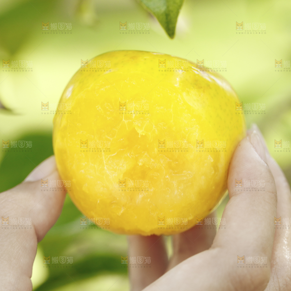 堆放着的蜂糖李